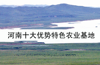 8月19日，河南省政府發(fā)布了關(guān)于深入推進(jìn)農(nóng)業(yè)供給側(cè)結(jié)構(gòu)性改革 大力發(fā)展優(yōu)勢特色農(nóng)業(yè)的意見