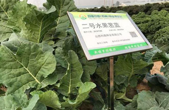 10月23日，中國（鄭州）種業(yè)博覽會(huì)將在河南省鄭州市中牟縣官渡鎮(zhèn)鄉(xiāng)謠農(nóng)場(chǎng)舉辦
