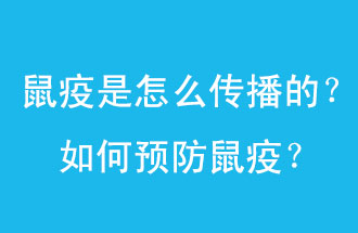 鼠疫是怎么傳播的？如何預(yù)防鼠疫？